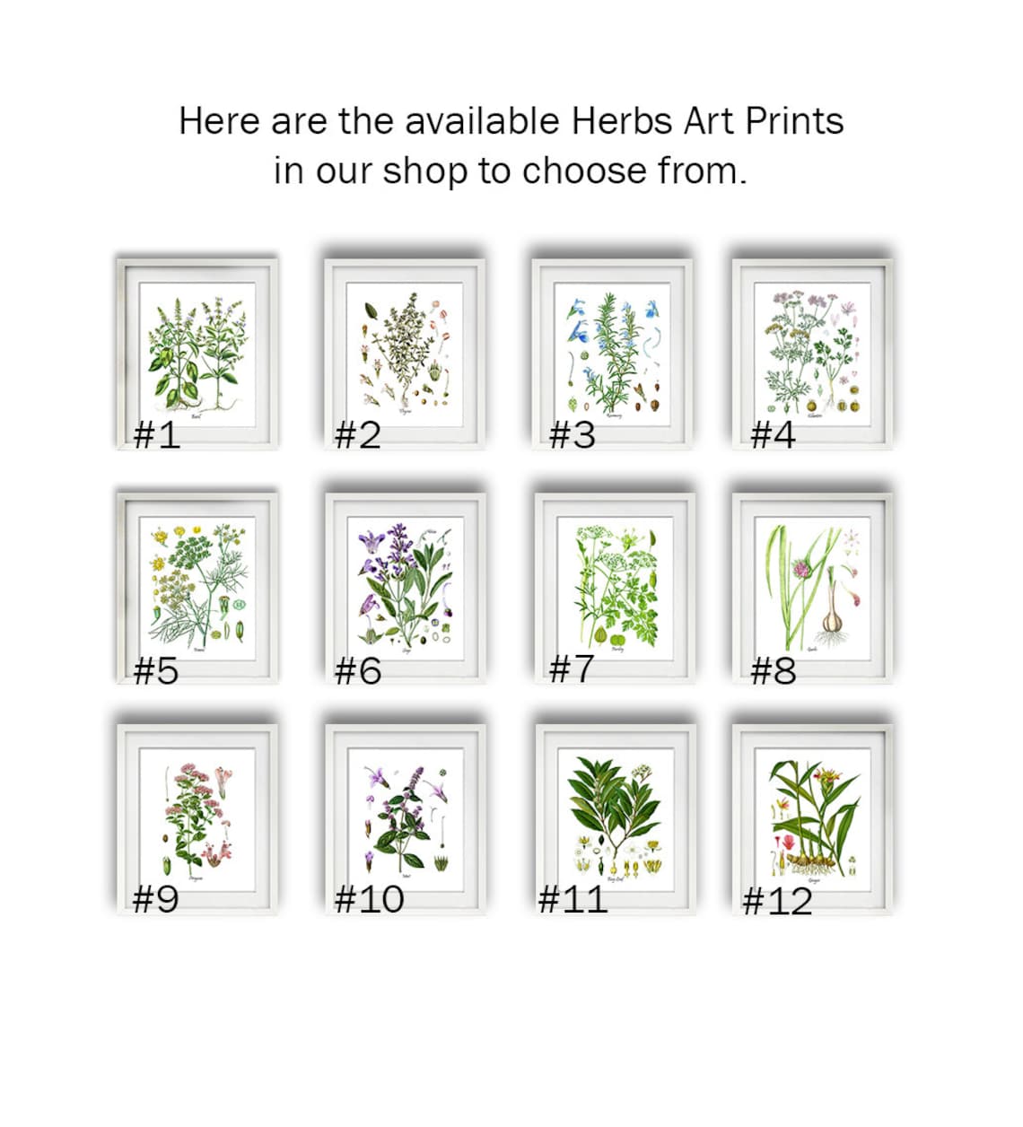 Herb Prints Set of 9 Herb Botanical Prints Wall Art Gift for Her ...