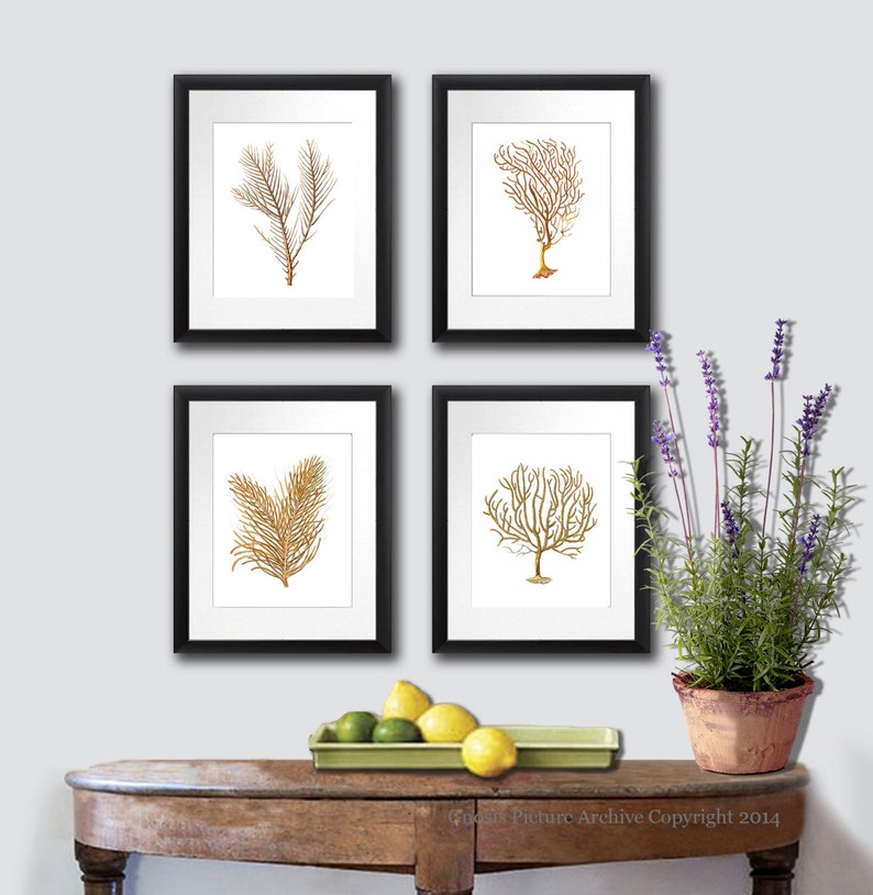 Sea Fan Art Print Sea Coral Prints Set of 4 Beach Wall Decor Etsy