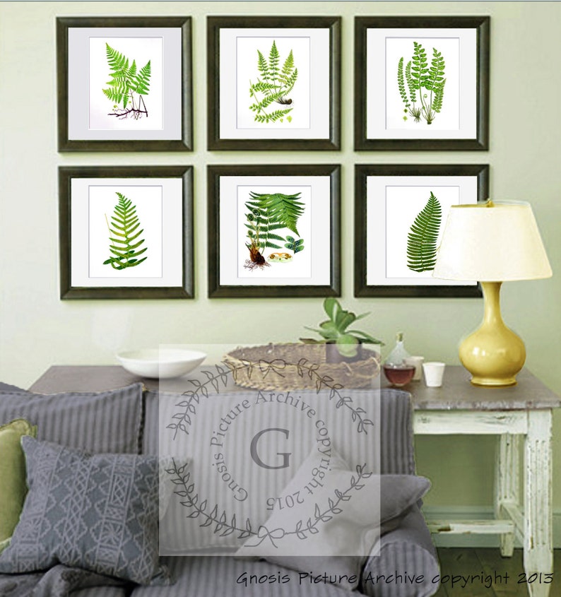 Fern Print Set of 6 Fern Wall Art Prints Unframed Green Nature Etsy