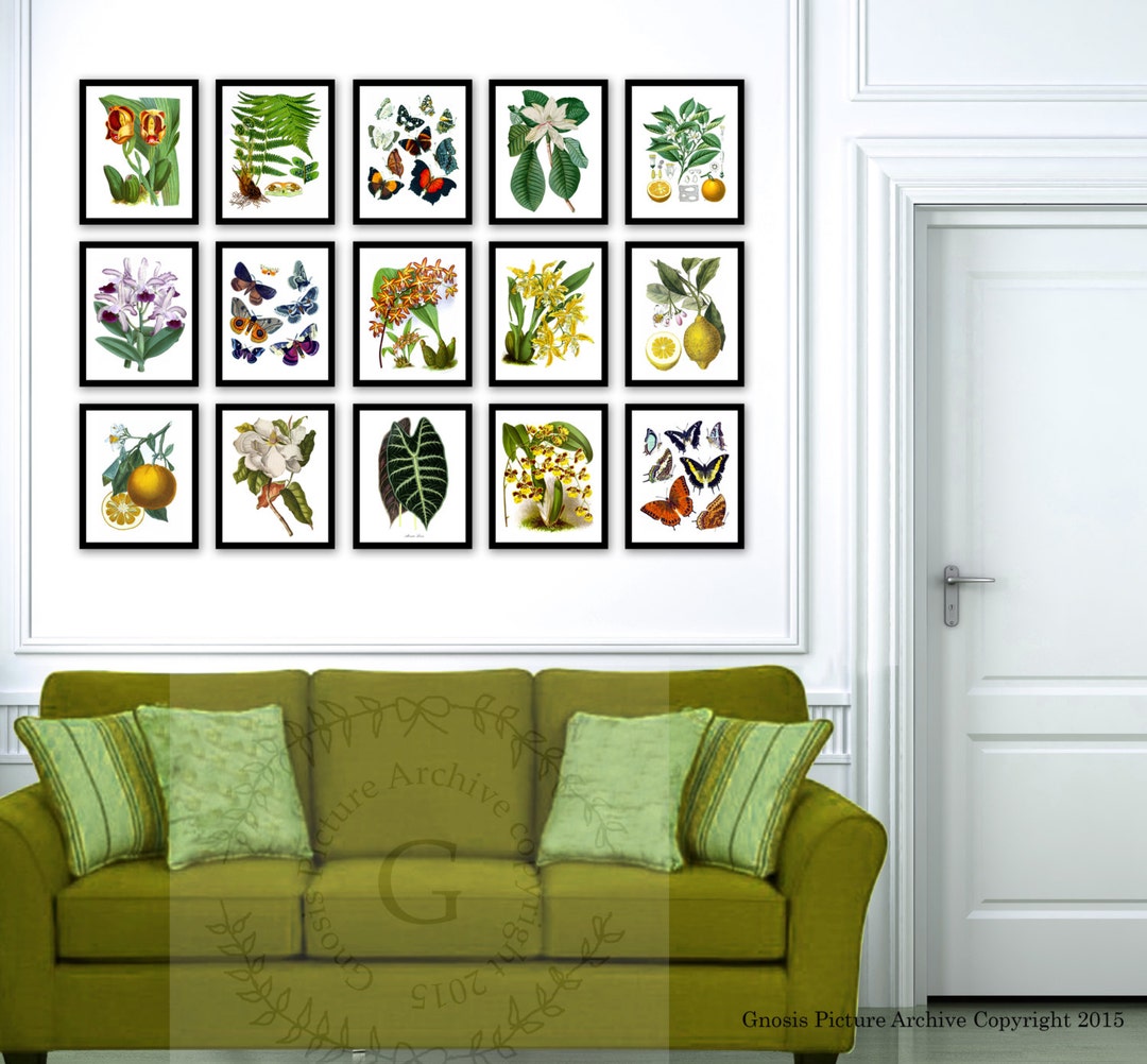 Botanical Wall Decor Antique Botanical Art Set of 15 Tropical Decor ...
