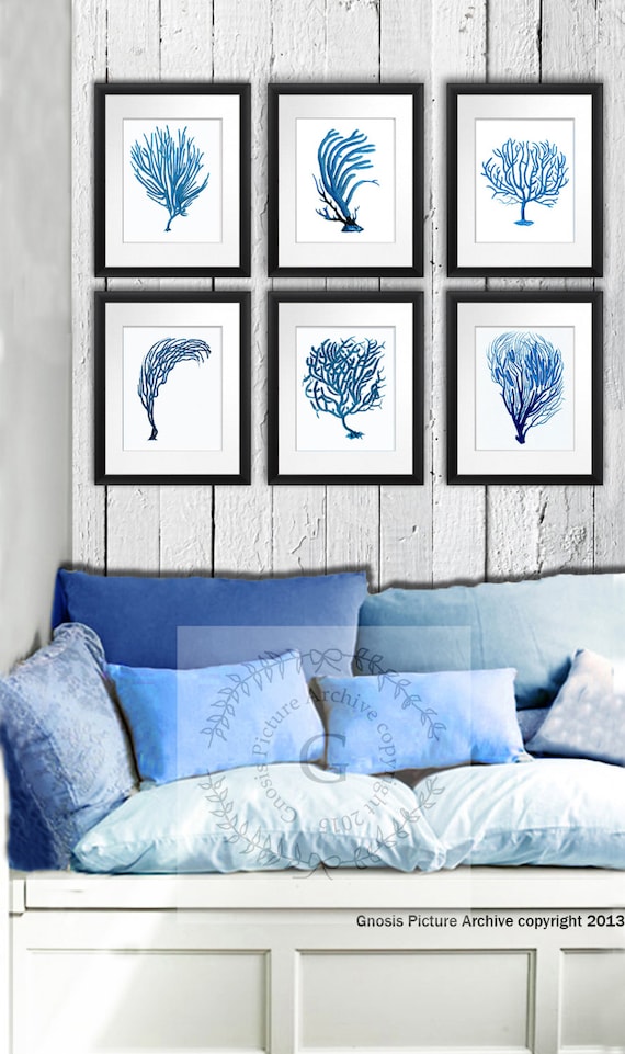 Sea Coral Decor Wall Art Prints Set of 6 Blue and White Sea Etsy