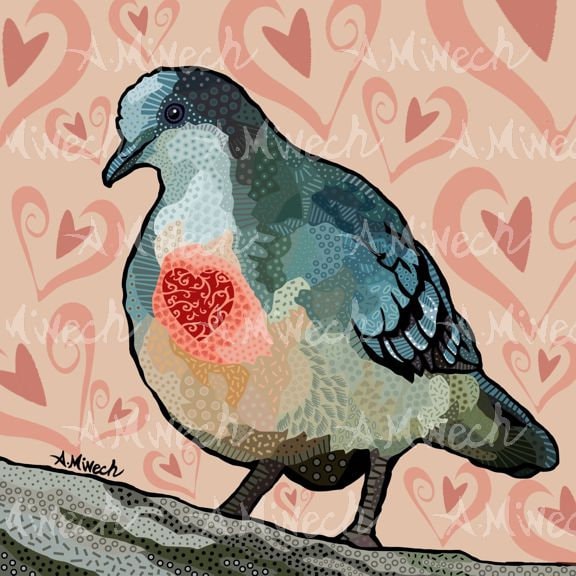  バード　 Dove Z National Aviary Bleeding Heart Dove 8x8 Print - Etsy Denmark