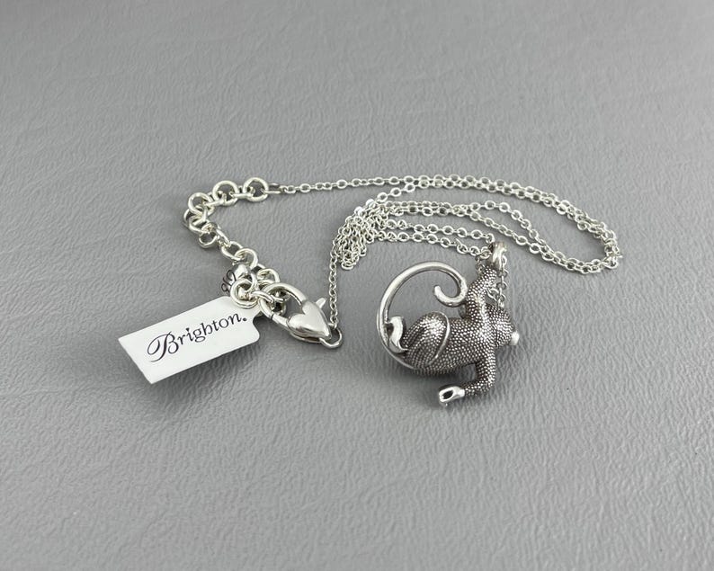 Peut inclure: Un collier argent&eacute; avec un pendentif en forme de lapin d&eacute;taill&eacute; et textur&eacute;, enroul&eacute; dans un cadre circulaire. La cha&icirc;ne est accompagn&eacute;e d'une &eacute;tiquette avec l'inscription "Brighton."