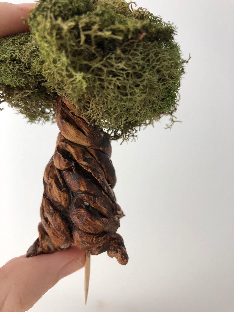 May include: A miniature tree with a brown, twisted, wooden trunk and a green moss canopy.