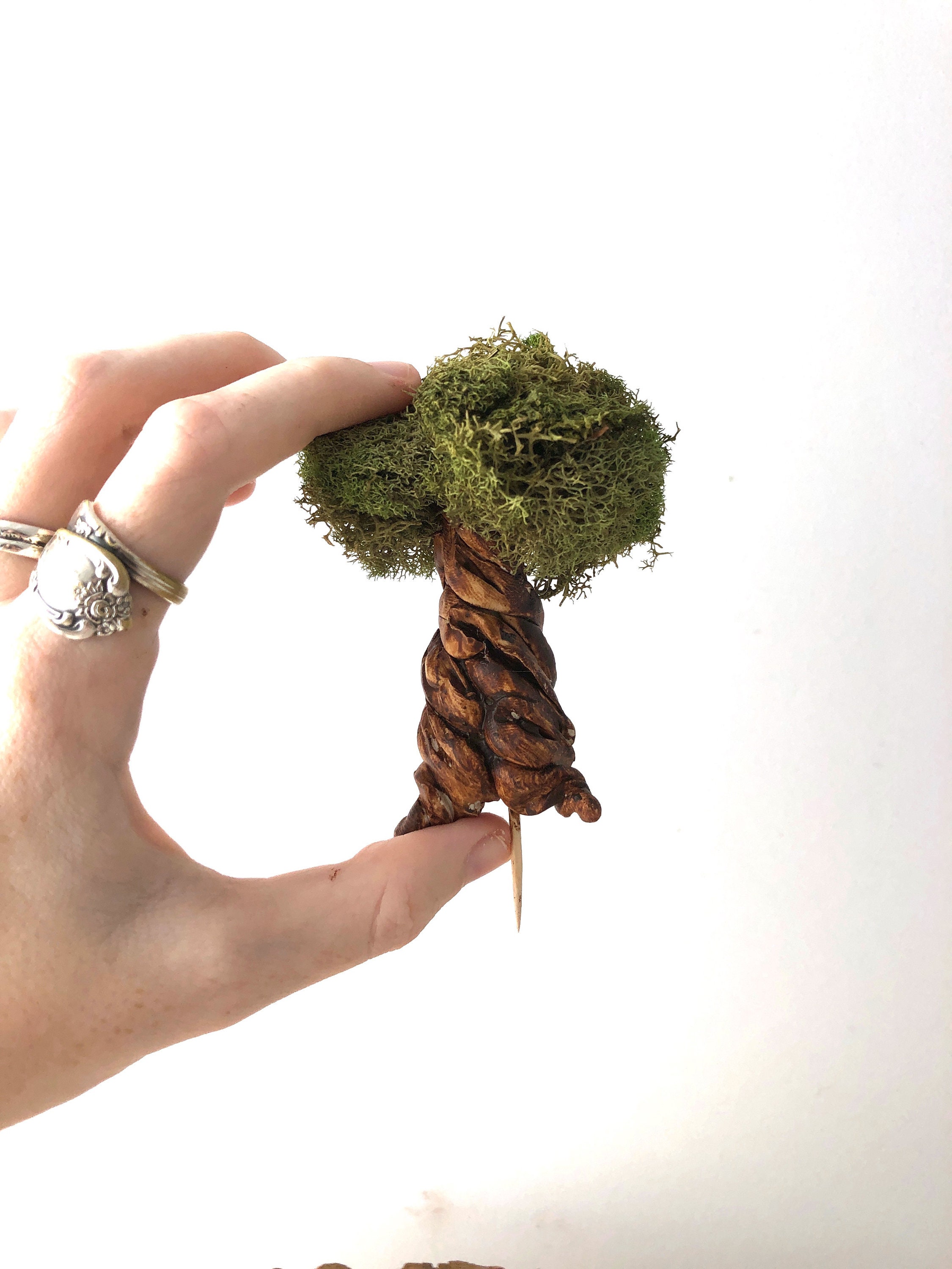 Arbre Individuel Pour Terrarium, Terrarium Fournit Un Kit de Terrarium. Miniatures Arbre Miniature.