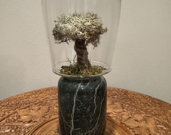 Preserved Moss Tree Terrarium - Hand Sculpted Miniature Tree Marble Accent - UniqueLee Art