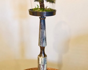 Preserved moss and clay tree terrarium sculpture, faux bonsai tree of life  - UniqueLee Art