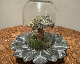 Moss tree terrarium, faux bonsai, marble lotus flower terrarium