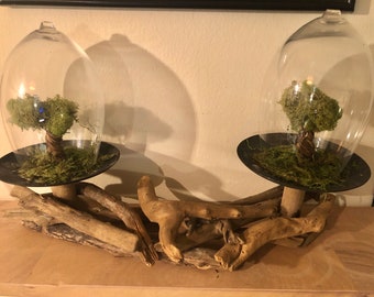 Terrarium Centerpiece with Miniature Tree Sculptures and Preserved Moss, Handmade by UniqueLeeArt