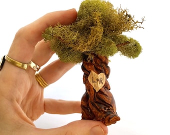 Tree with custom initials for terrarium, terrarium supplies terrarium kit. Miniatures for terrarium. Individual miniature tree.