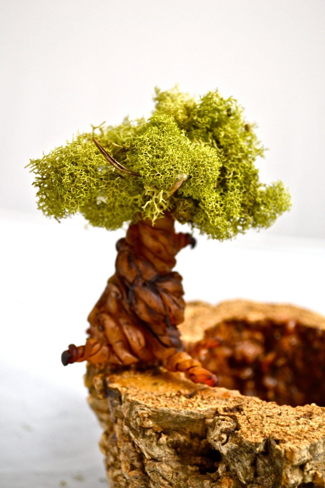 Individual Tree for Terrarium Terrarium Supplies Terrarium Etsy Canada