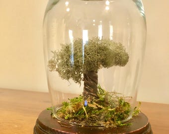 Preserved moss and clay tree terrarium sculpture - UniqueLee Art