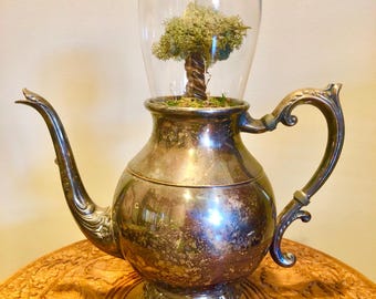 Miniature tree terrarium sculpture - preserved moss and clay - antique tea pot - UniqueLeeArt