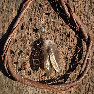 May include: A dreamcatcher with a brown twig frame and a red leather cord hanging from the top. The dreamcatcher is decorated with red and blue beads and two brown feathers.