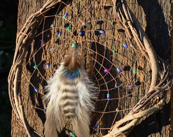 Large Natural Dreamcatcher, Native Made Wall Hanging, Multicolored Window Hanging, Nature Lovers Home Decor