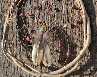 Natural, Wood Dreamcatcher, Rustic, Native American Wall Hanging, Earthy Window Decoration Ornament, with Mood Color Changing Insect Bead,