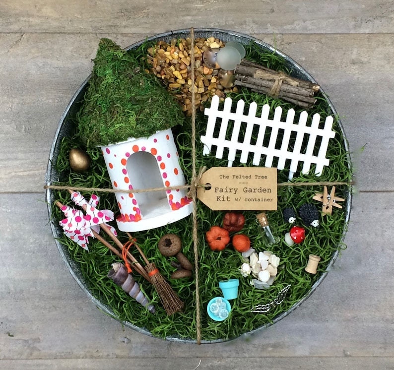 Fairy garden kit with container DIY 