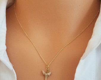 化石サメの歯ネックレス：1インチ、ワイヤーラップ、ブラックコード