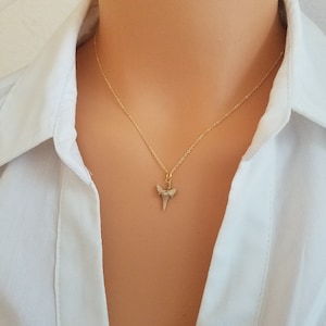 Shark Tooth Necklace, Tiny Shark Tooth, Natural, Dainty Shark Tooth, Necklace, Fossil Shark Tooth, Shark Gifts, Shark Christmas Present