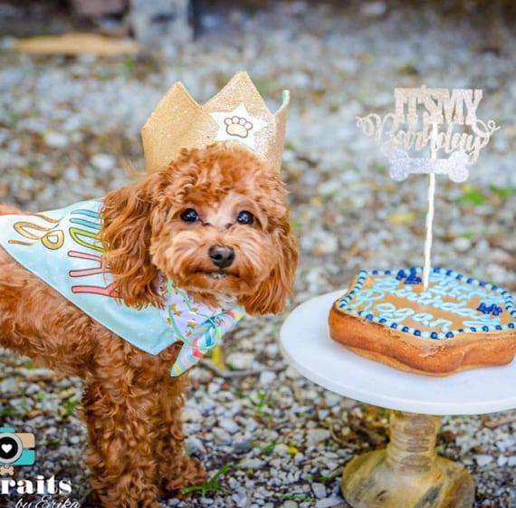 Barkday cake topper, dog cake topper, dog birthday cake topper, dog