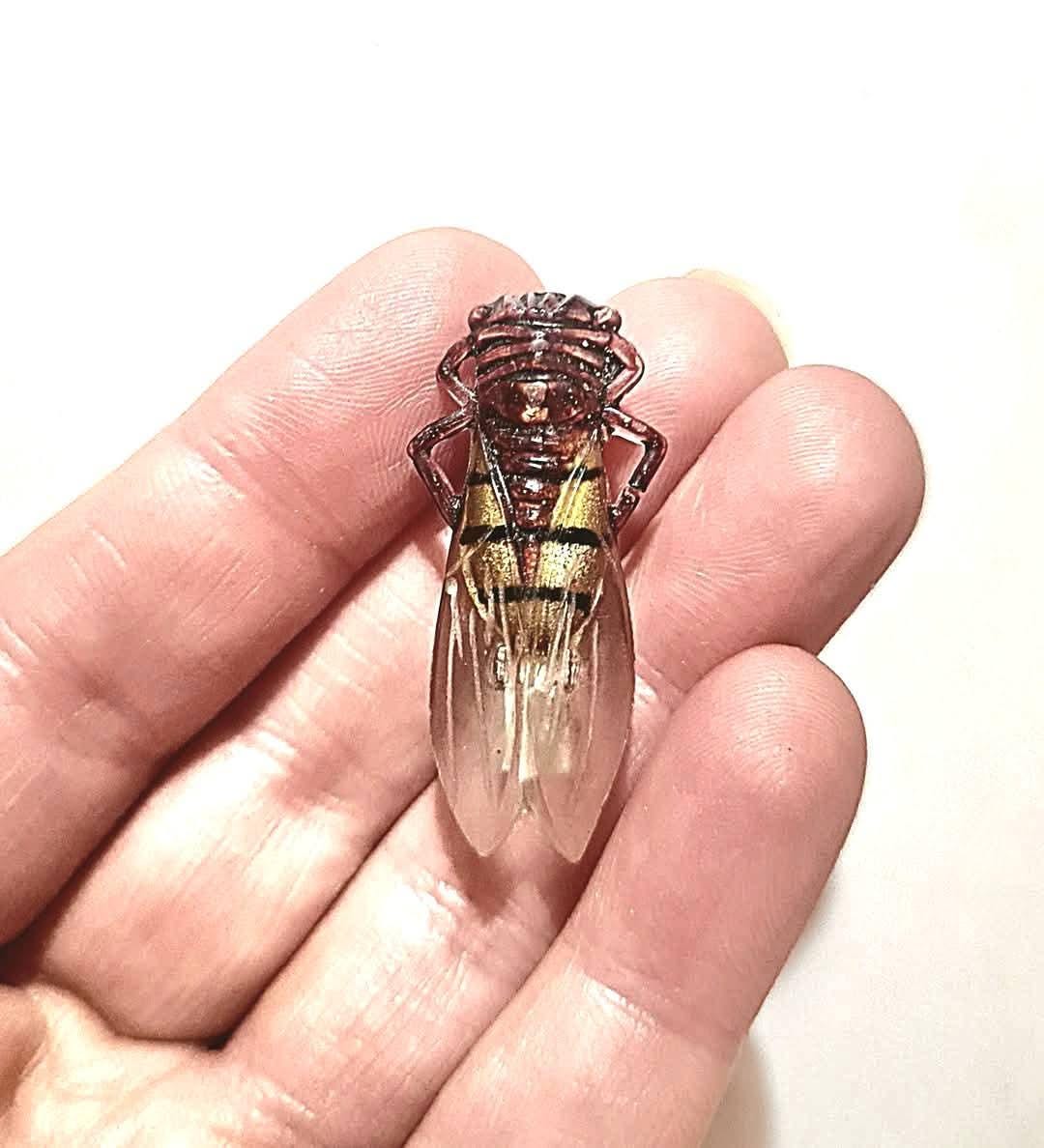 BROCHE VINTAGE INSECTE CIGALE LUCITE TRANSLUCIDE ART DECO 1930
