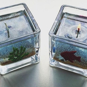 May include: Two square glass candle holders with clear gel wax. One candle is lit and the other has a wick. Both candles have small decorative items embedded in the wax, including a red fish, green seaweed, and sand.