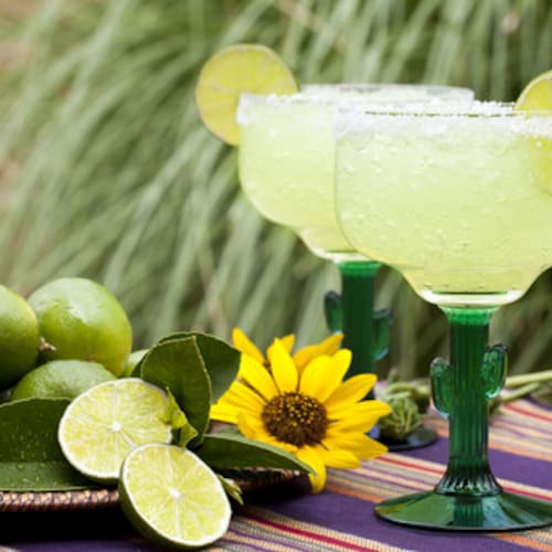 Festive Margarita Scented Gel Candle in 10 oz. cactus decorated glass.  Candle has actual rock salt on rim of glass.  Makes great gift.