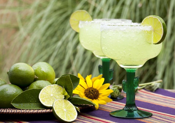 Festive Margarita Scented Gel Candle in 10 oz. cactus decorated glass.  Candle has actual rock salt on rim of glass.  Makes great gift.