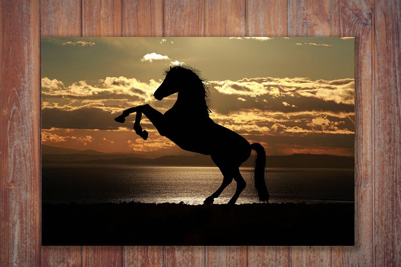Dark Silhouette of a Horse Rearing Up in the Sunset Canvas | Etsy