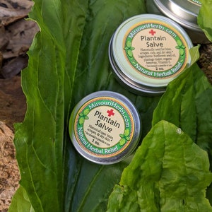 Plantain Salve FREE SHIPPING