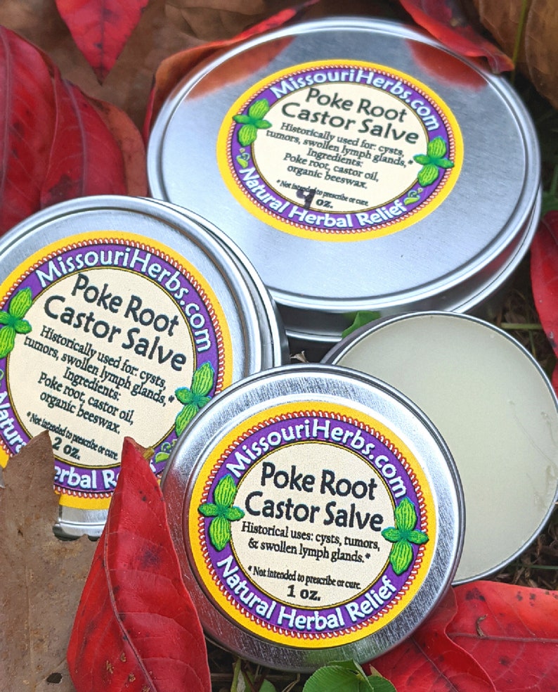 Poke Root Castor Salve FREE SHIPPING image 1