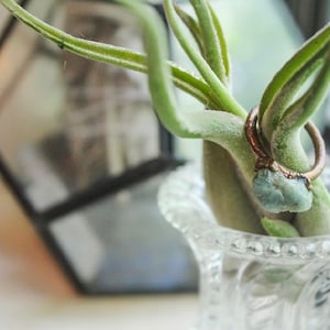Puede incluir: Un anillo de tono cobre con una piedra preciosa azul claro se muestra sobre una planta aérea verde dentro de un jarrón de vidrio transparente y ornamentado. El diseño del anillo presenta una banda texturizada y una piedra en bruto. Un terrario de vidrio geométrico es visible en el fondo.