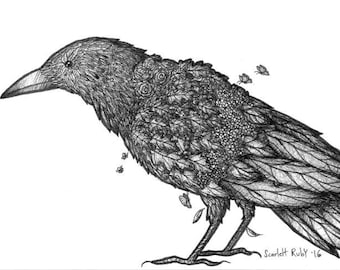 Raven In Bloom - Ink Illustration Print