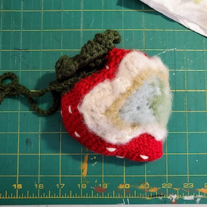 Crochet Moldy Strawberry Pouch