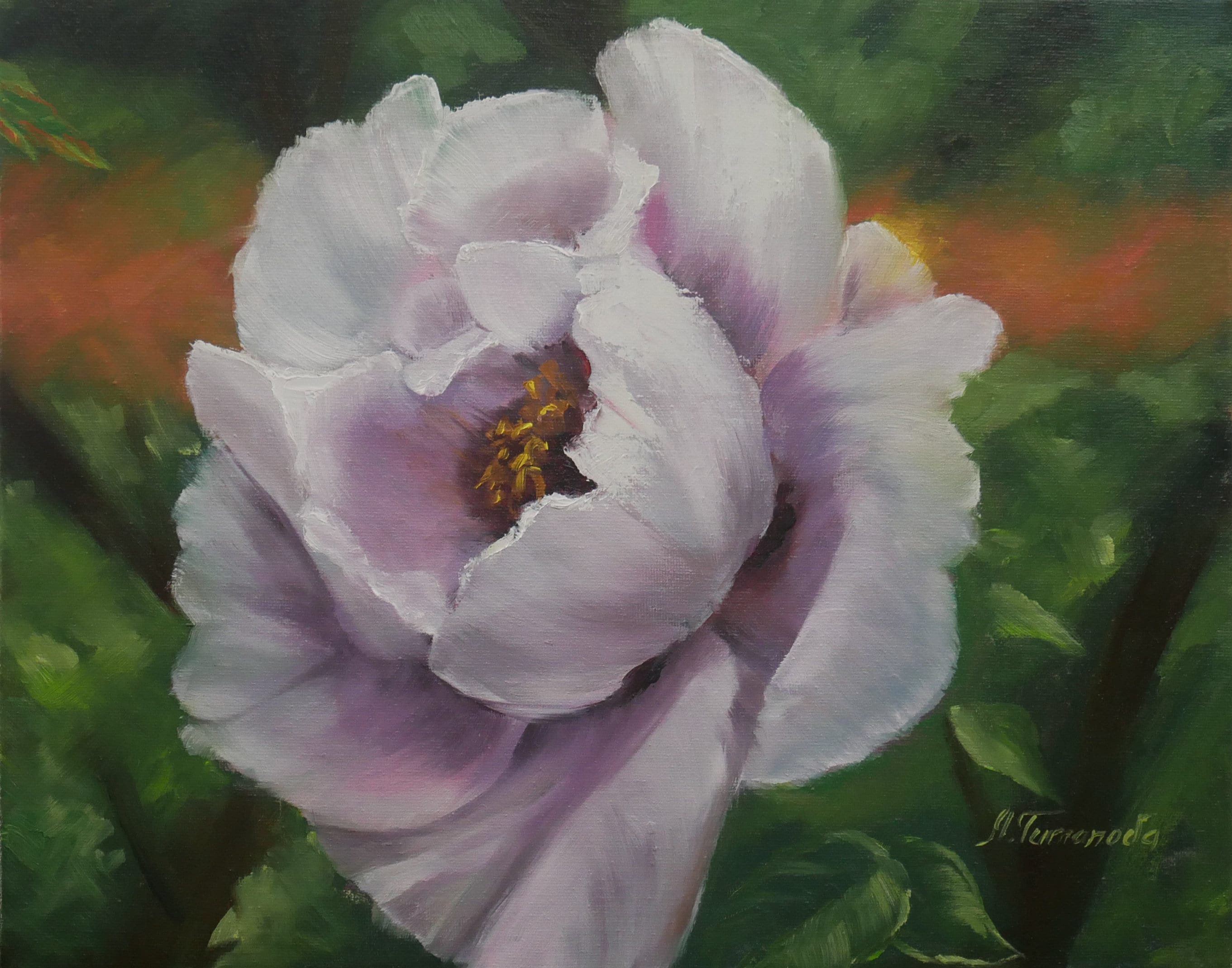 Pink Rose Flower Painting Botanical Wall Art Original Oil Artwork by Mariya Tumanova