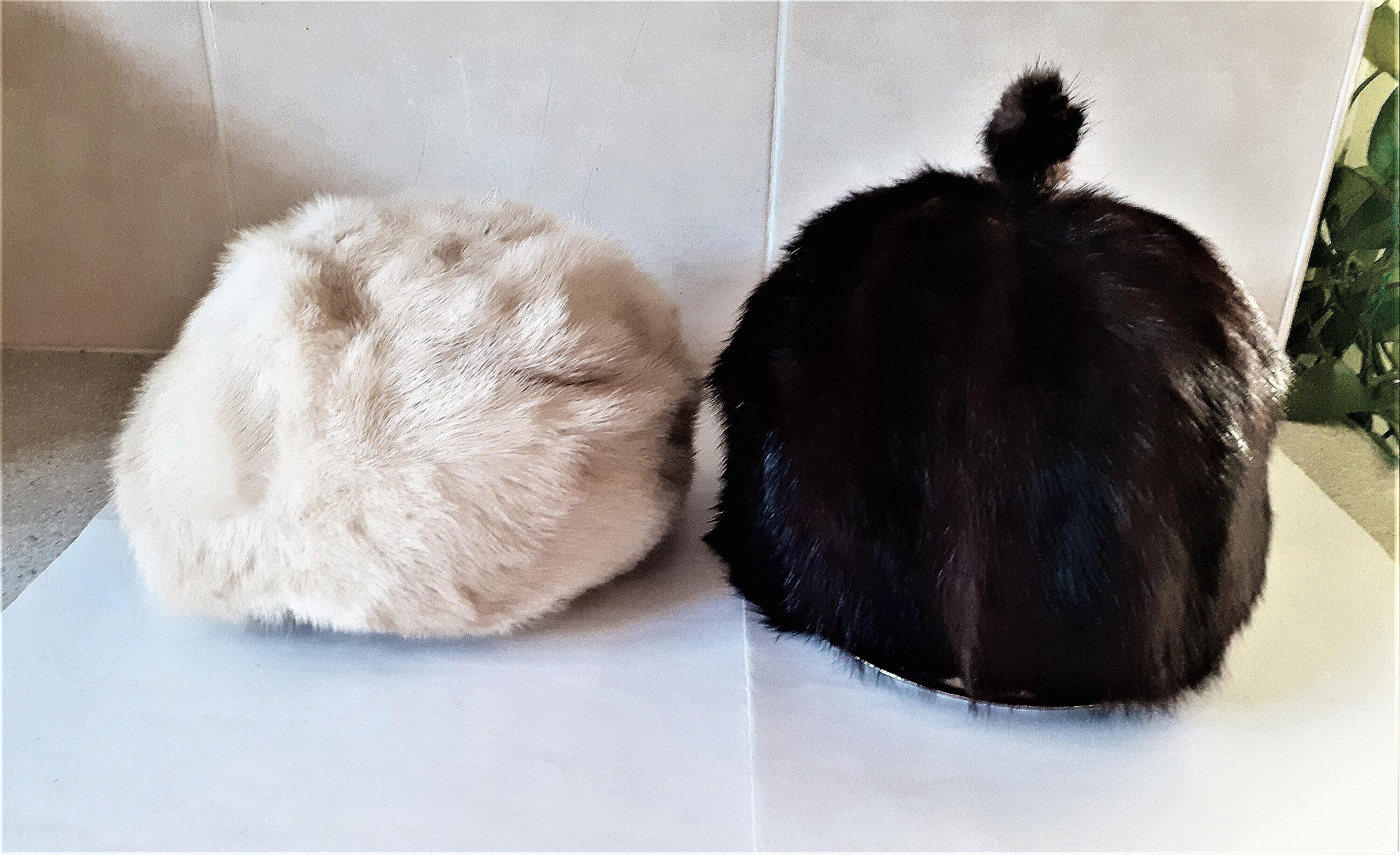 Tunique en jersey en coton bio. Col montant et manches courtes. Motif jungle, noir | Ulla Popken