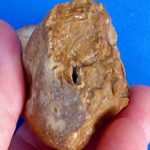 May include: A close-up of a brown, irregularly shaped rock with a small hole in the center. The rock has a rough, textured surface.