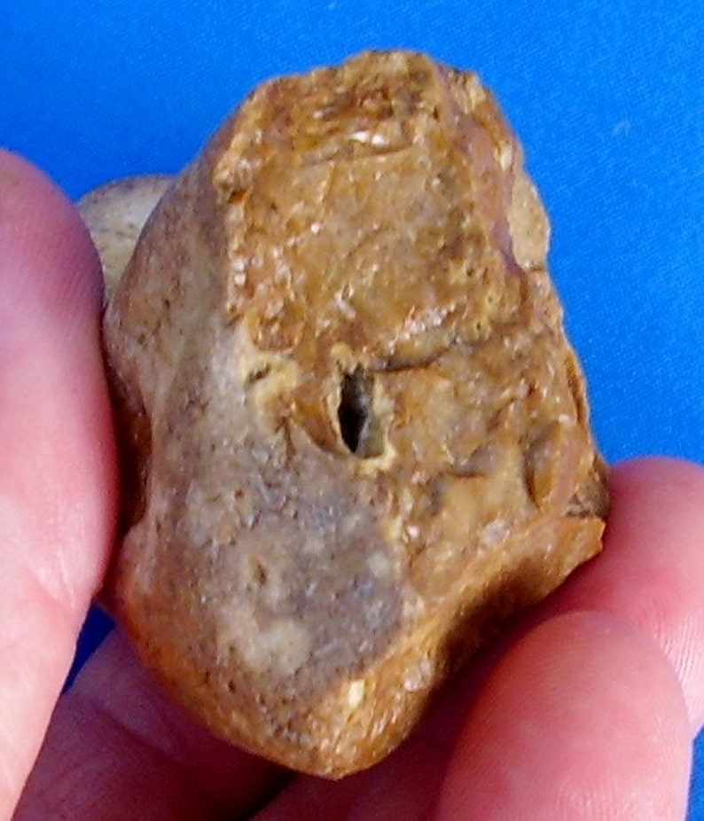 May include: A close-up of a brown, irregularly shaped rock with a small hole in the center. The rock has a rough, textured surface.