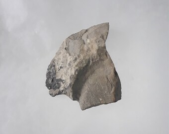 Antiguo artefacto nativo americano de hacha de piedra de un solo bit