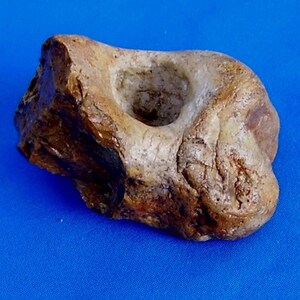 May include: A brown and white stone with a smooth, rounded surface and a small hole in the center. The stone has a natural, earthy texture.