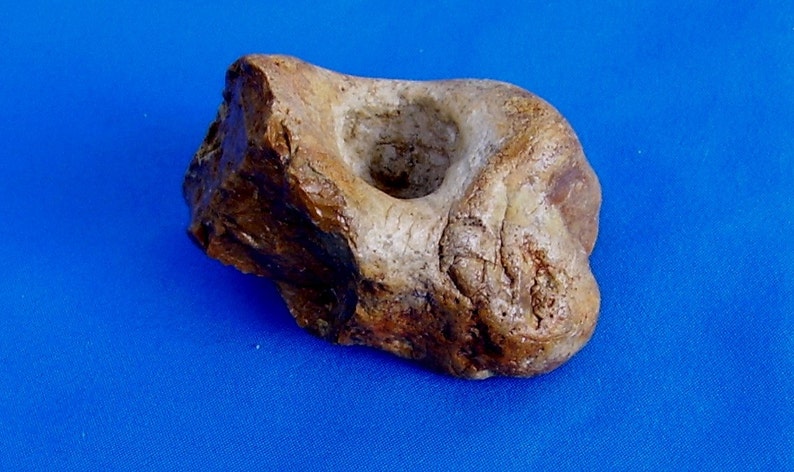 May include: A brown and white stone with a smooth, rounded surface and a small hole in the center. The stone has a natural, earthy texture.