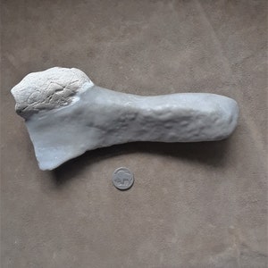Ancient Southern Plains Stemmed Axe Artifact