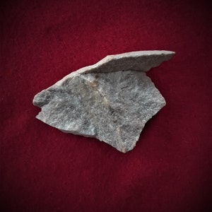 May include: A gray, irregularly shaped rock with a rough, textured surface. The rock is sitting on a red background.