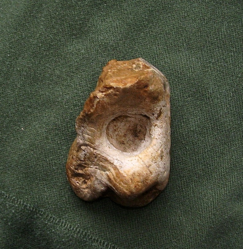May include: A light brown, irregularly shaped rock with a smooth, white, circular indentation. The rock has a rough, textured surface.