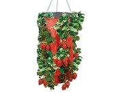 Vertical Garden Hanging Planter 7 Hole Bag for Strawberry Bare Root Plants