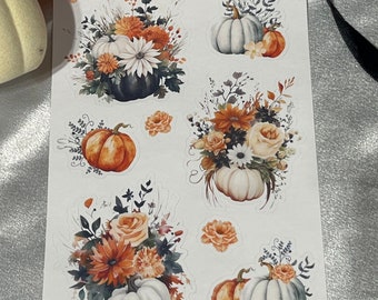 Black Pumpkin Florals