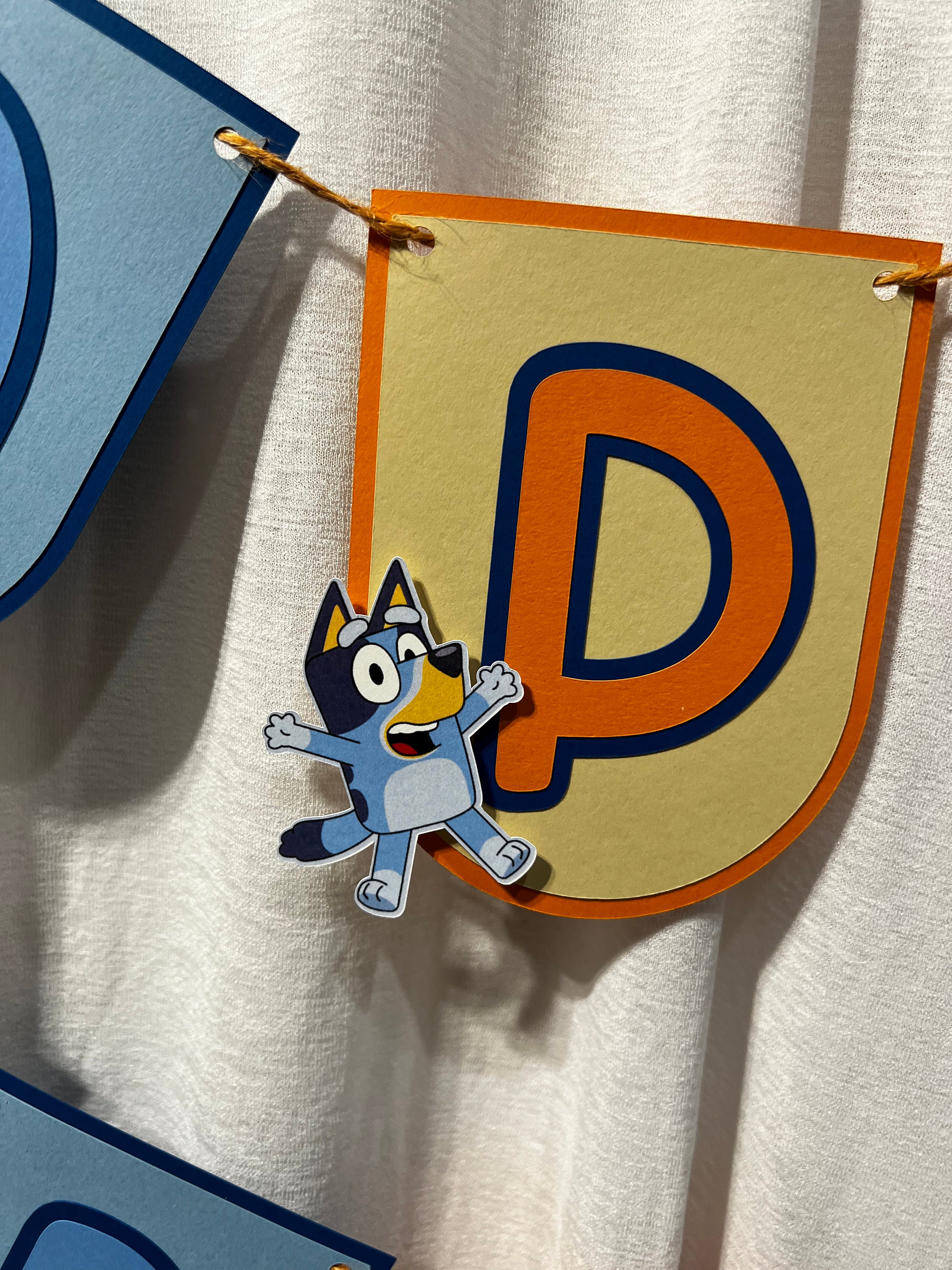 Bluey Banner