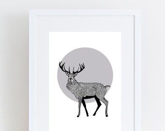 Stag Spot Art Print