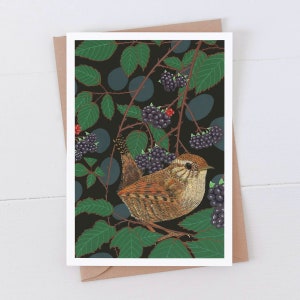 Troglodyte mignon - Carte Oiseau de jardin
