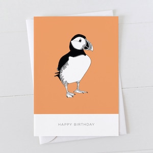 Carte d'anniversaire macareux